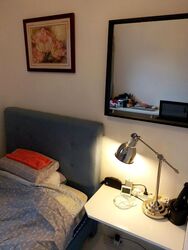 The Rise @ Oxley (D9), Condominium #507580811